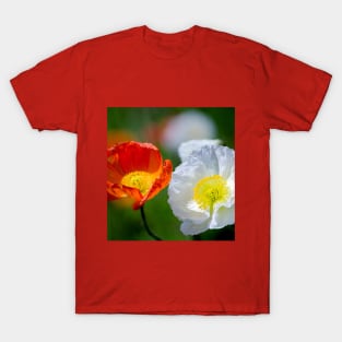 Beautiful poppy flowers close up T-Shirt